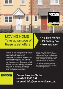 norton advert